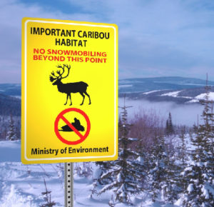 caribou closures