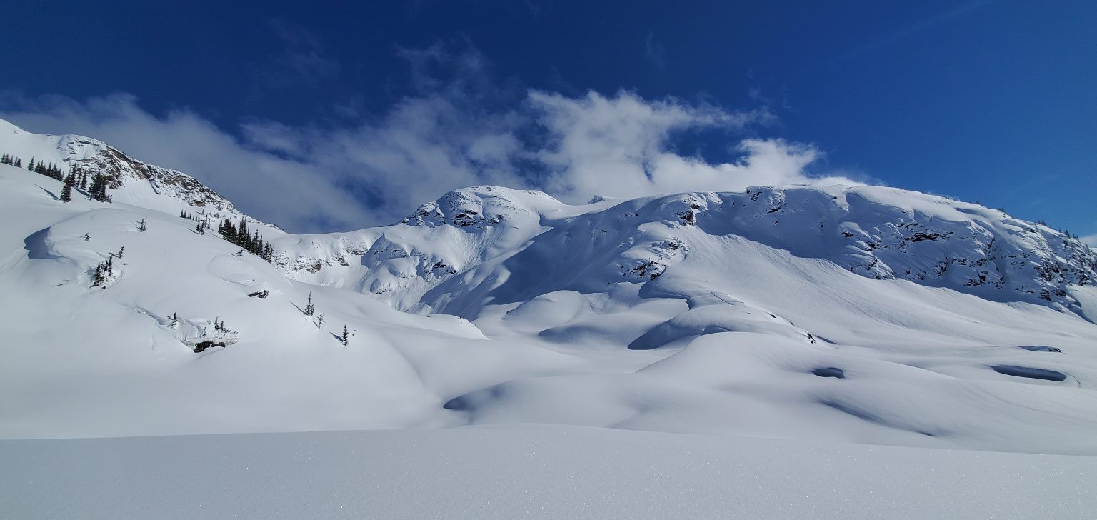 Sled Areas in Blue River, BC Snowmobiling Blue River Powder Packers